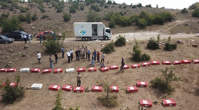 Balıkesir'de kınalı keklikler doğaya salındı