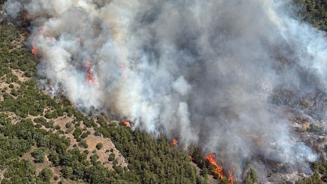 Balıkesir'de orman yangını: Ekipler olay yerinde
