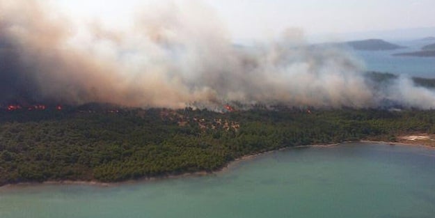 Balıkesir'de orman yangını