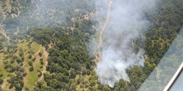 Balıkesir'de orman yangını