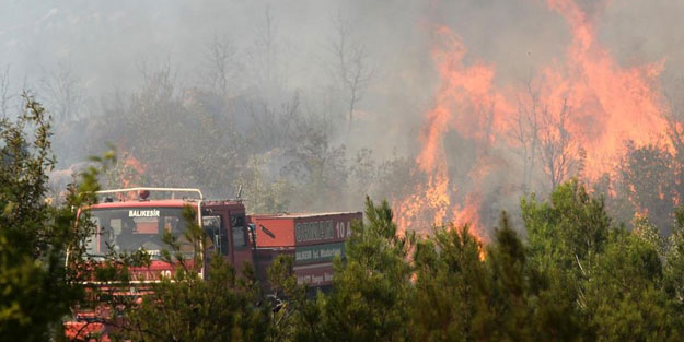 Balıkesir'de orman yangını