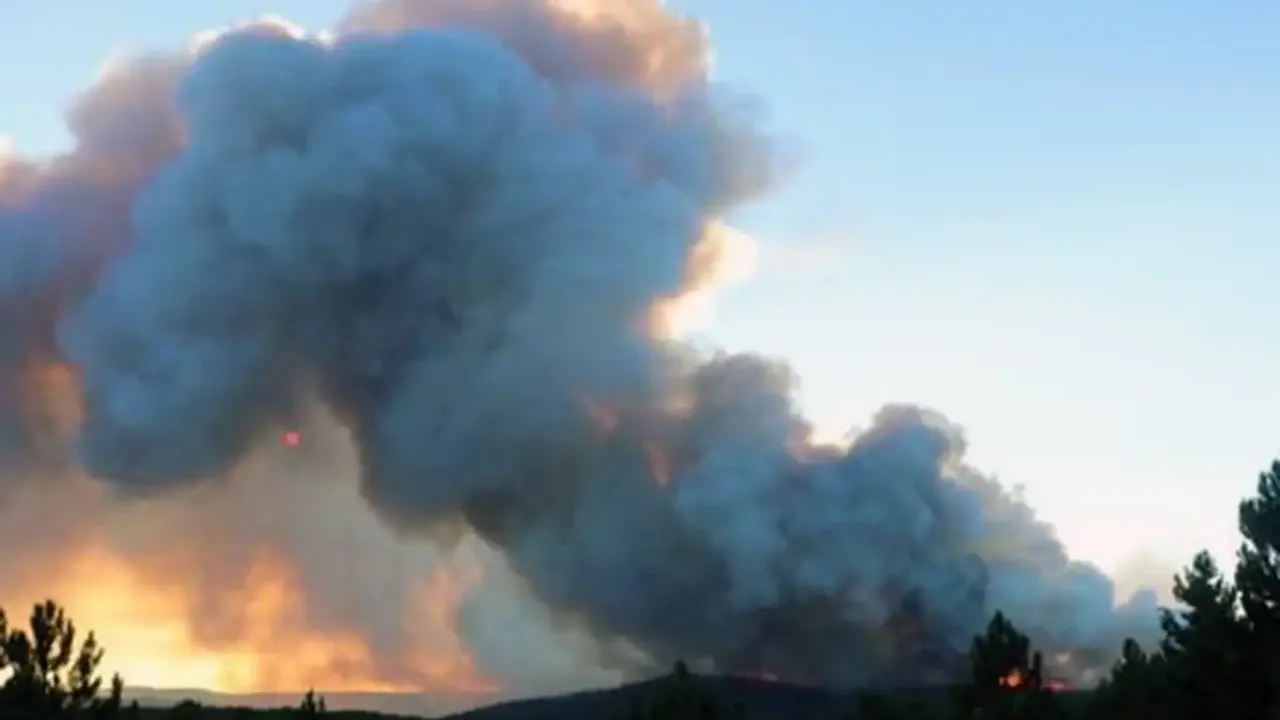 Balıkesir'de orman yangını!