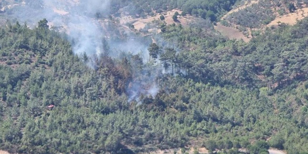 Balıkesir'de orman yangını: Havadan müdahale ediliyor