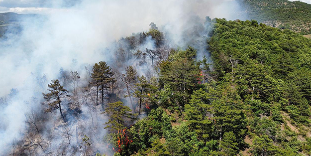 Balıkesir'de orman yangını! Müdahale ediliyor