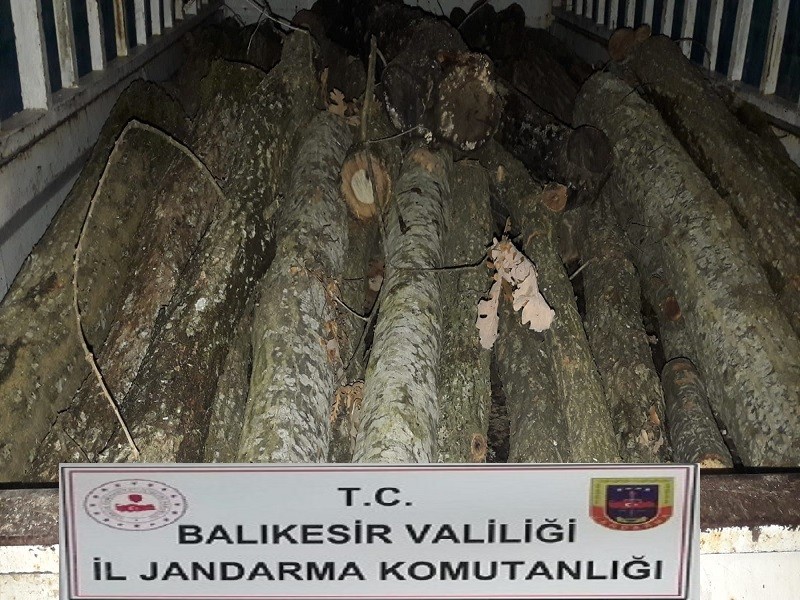 Balıkesir’de ormancı operasyonu: 23 gözaltı 