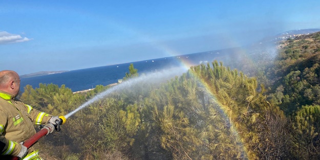 Balıkesir'de ormanlık alanda yangın