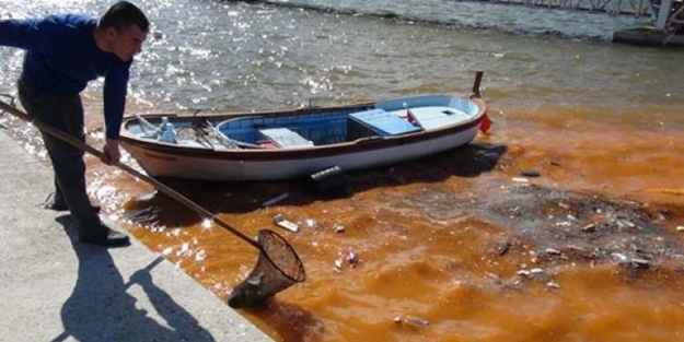 Balıkesir'de ürküten görüntü