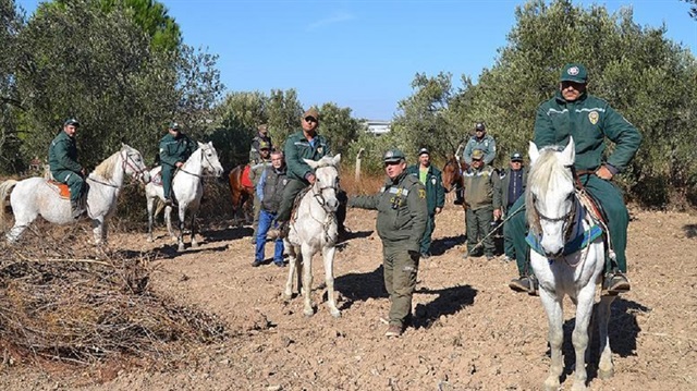 Balıkesir'de zeytini atlı bekçiler koruyor
