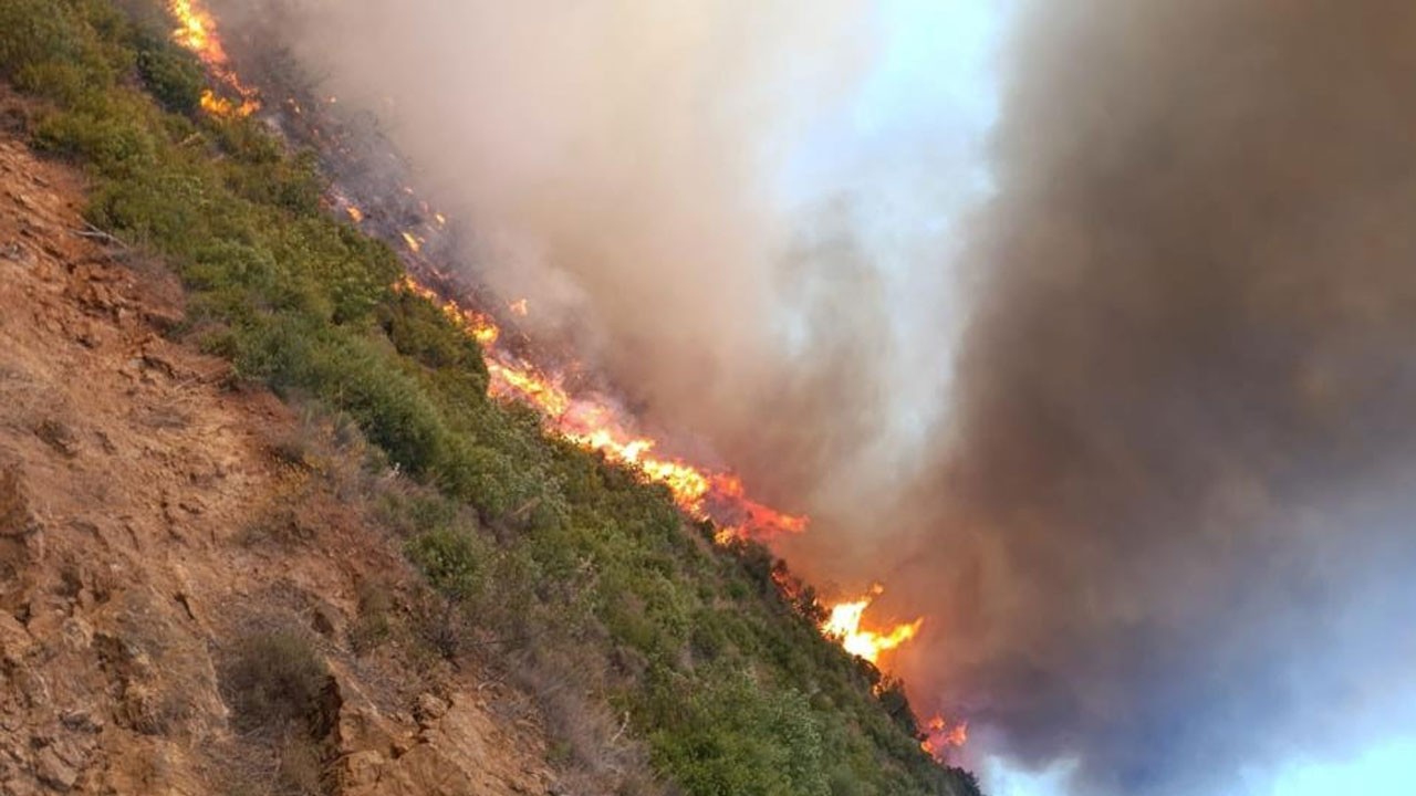 Balıkesir'den kötü haber