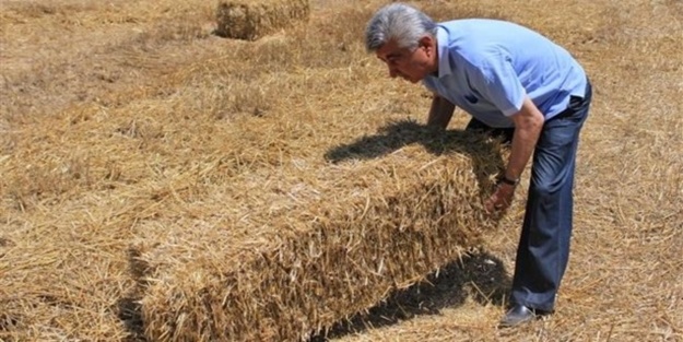 Balikesir De Fare Afeti Yasandi