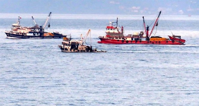 Balıklar balıkçının ayağına geldi