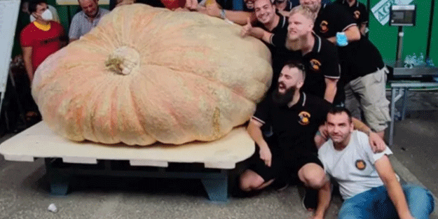 Balkabağı Guinnes Rekorlar Kitabı’na girdi
