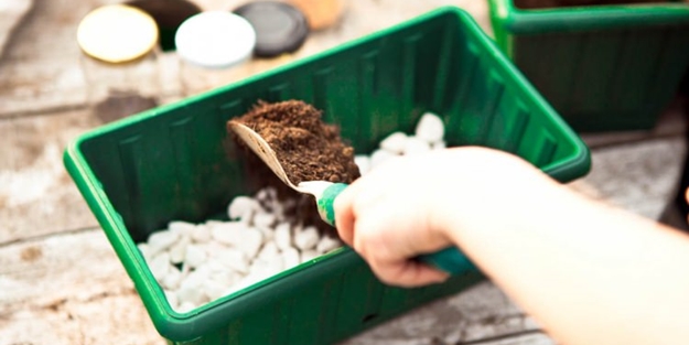 Balkonunuzda meyve ve sebze yetiştirebilirsiniz! İşte püf noktalar...