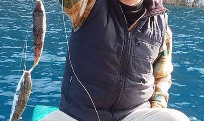 Balon balığı balıkçıları bıktırdı