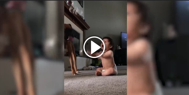 Baloncukları görünce deliye dönen sevimli bebek