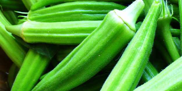 Bamya bağırsakları motor gibi çalıştırıp magnezyum depolarını fullüyor!