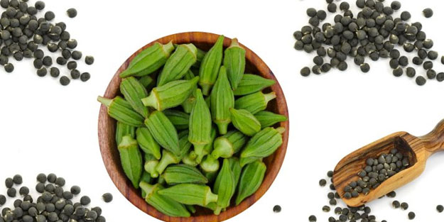 Bamya tohumu! Yok tabi böyle lezzet, yenirse o değişiklik: Ne kolesterol kalıyor ne de astım!