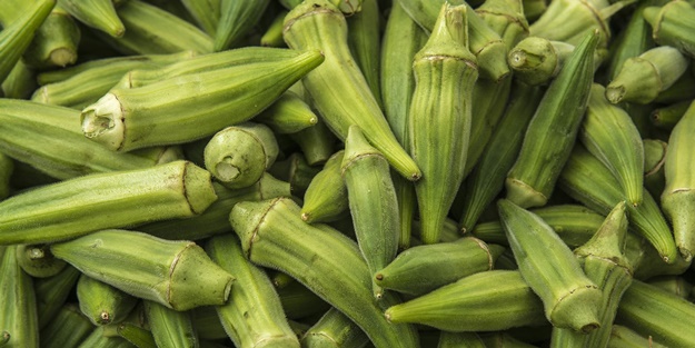 Birçok hastalığa iyi geliyor! Fiyatı 150 lirayı buldu