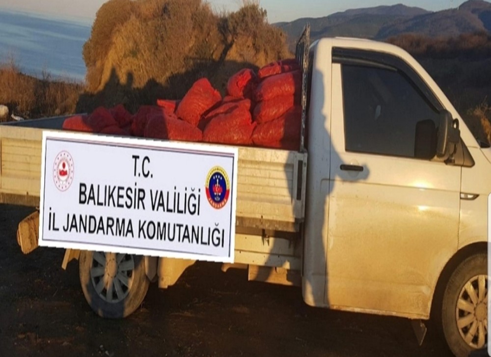 Bandırma’da bin 600 kilo kaçak midye yakalandı 