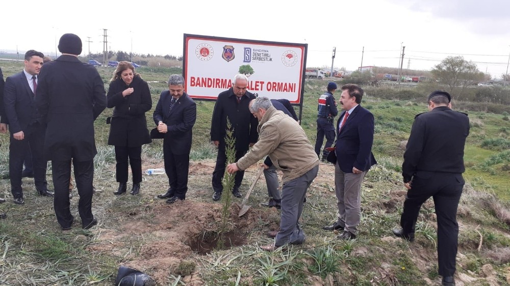 Bandırma’ya Adalet Ormanı 