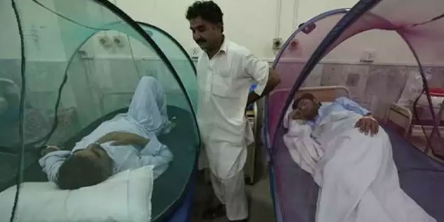 Bangladeş'te dang hummasından dolayı ölenlerin sayısında korkutan artış