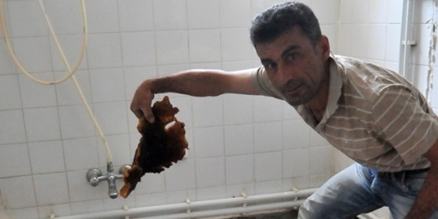 Banyo duvarının içinden çıkana çok şaşıracaksınız - FOTO