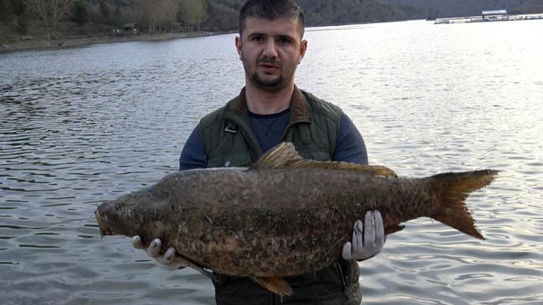 Barajdaki toplu balık ölümleri korkuttu