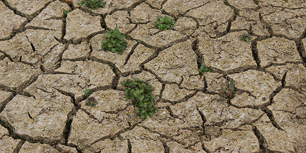 Barajlar alarm veriyor! İstanbul'da endişelendiren görüntü