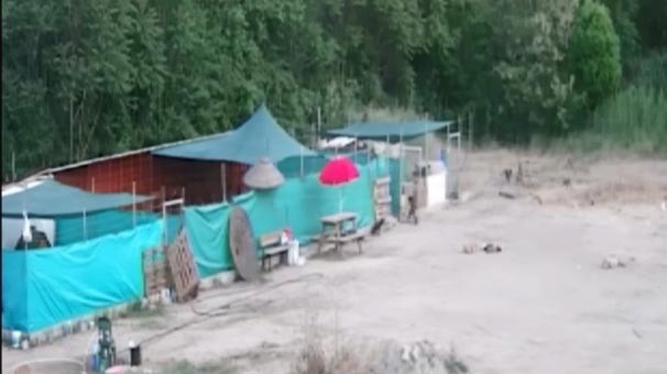 Keşan'da barınağa alınan 3 köpek yavrusunu öldürdüler!