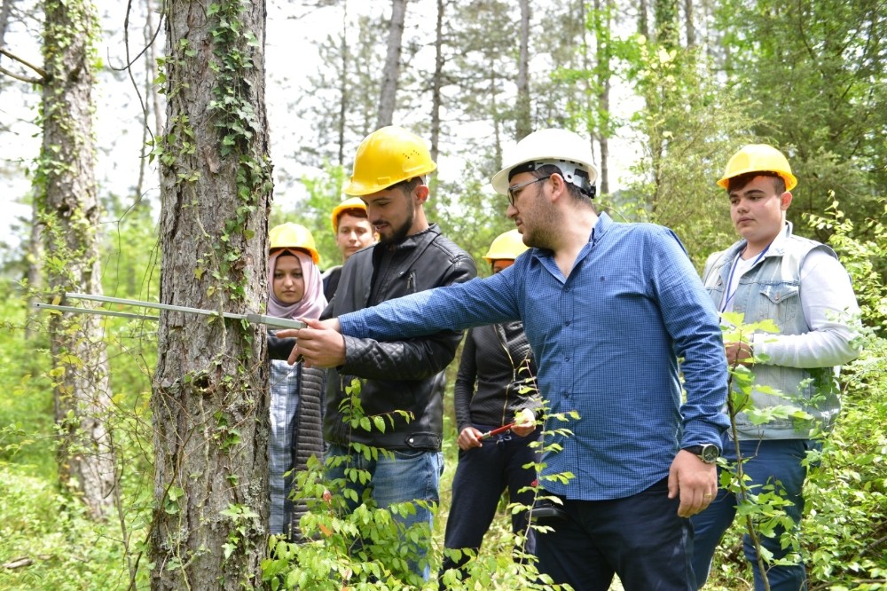 Bartın Üniversitesi mezunu 193 öğrenci OGM’ye atandı 