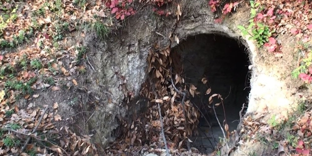 Bartın'da 20 metrelik define tüneli bulundu