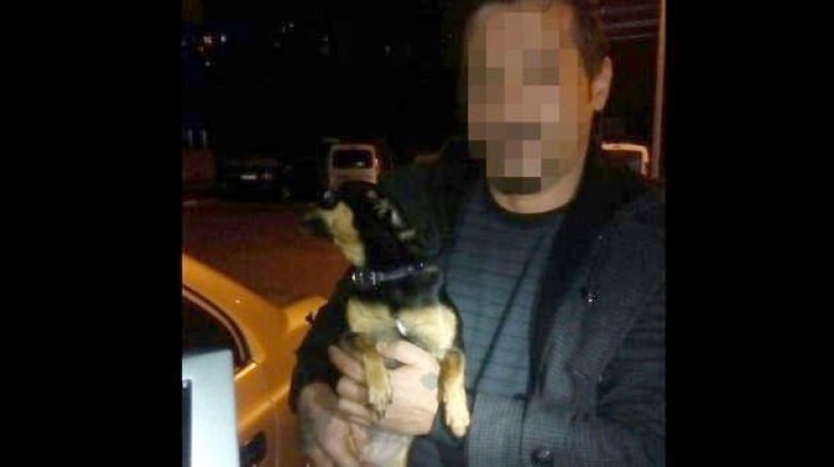 Bartın'da köpek gezdiriyormuş gibi yapıyorlar ama...