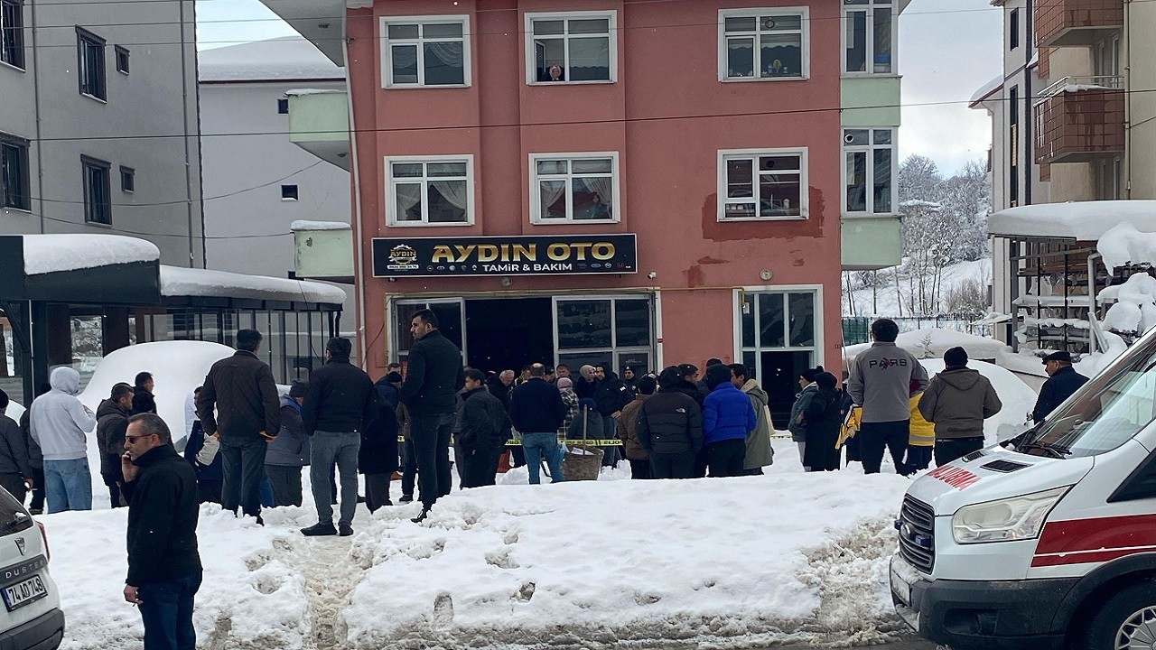 Bartın’da trajik kaza! Kedisiyle birlikte öldü
