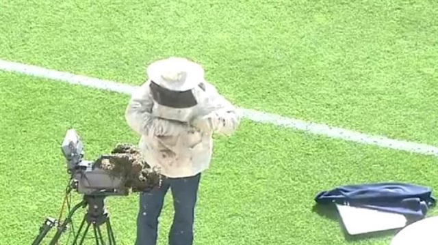 Başakşehir stadını arılar bastı