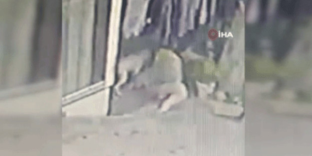 16 yaşındaki kıza pitbullar saldırdı! O anlar böyle görüntülendi