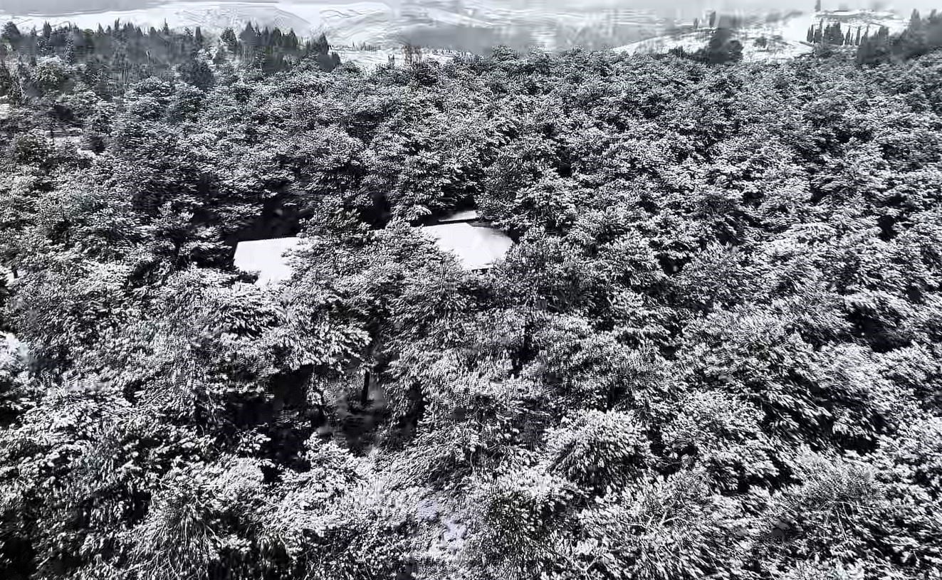 Başakşehir'de kış masalı! Şamlar Tabiat Parkı karla birlikte büyüledi!