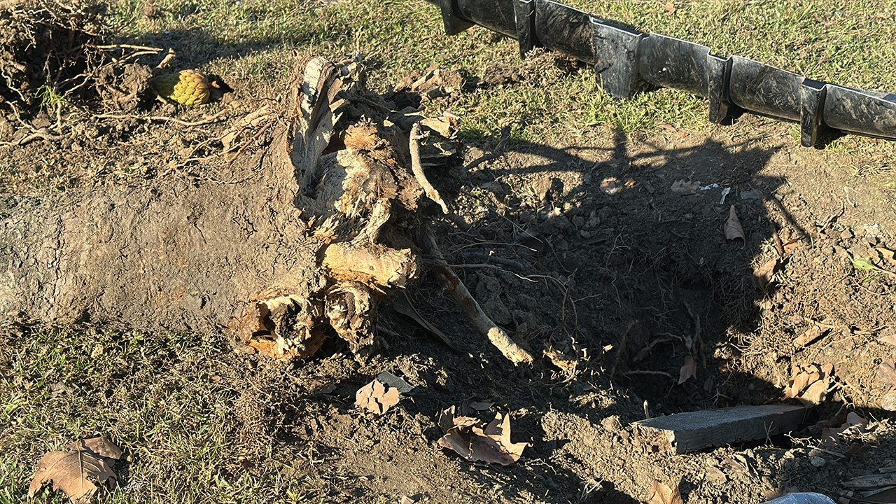 Başakşehir'de korkunç kaza! İki araç çarpıştı, biri takla attı
