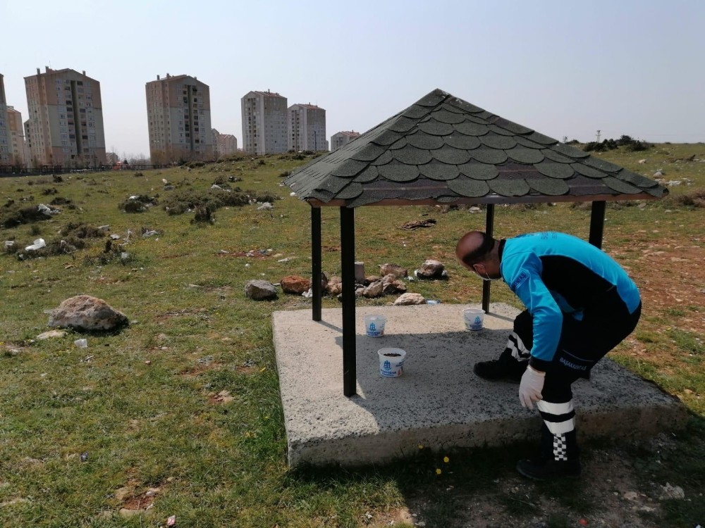 Başakşehir’de sokak hayvanları unutulmadı 