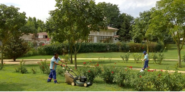 Başakşehir'de yeşil alan bakım çalışmaları devam ediyor