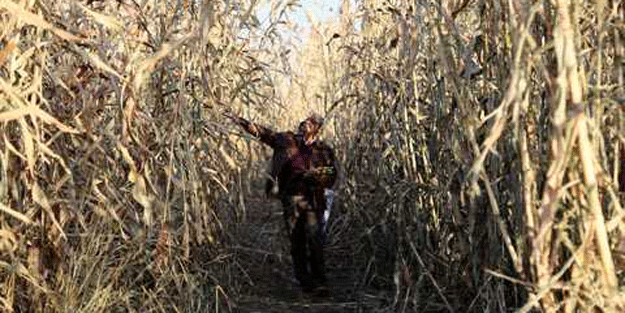 Sonunda başardılar… Tarladan benzin fışkırıyor!
