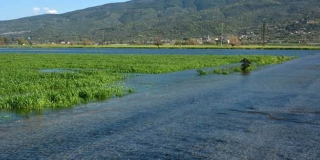 Başbakanlıktan mağdur çiftçilere yardım