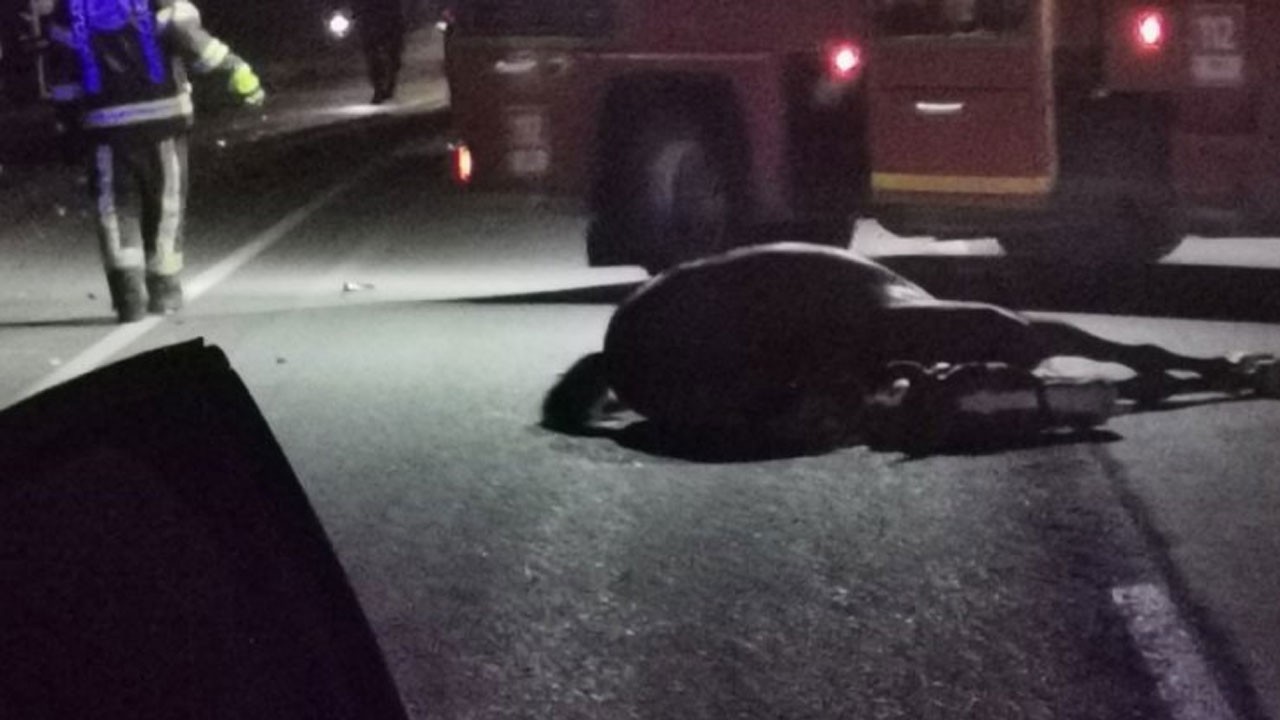Başıboş ata çarpan otomobil takla attı! 1 ölü 1 yaralı