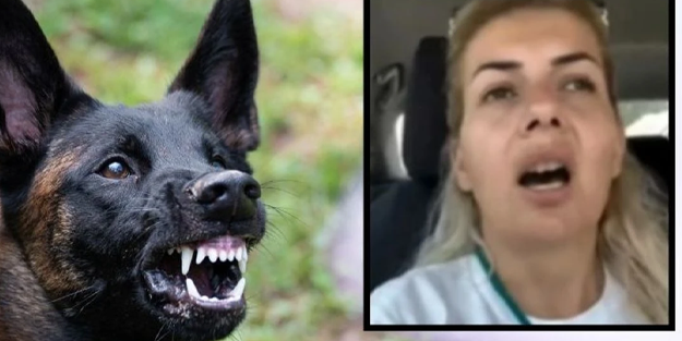 Başıboş Buket Özgünlü tutuklandı