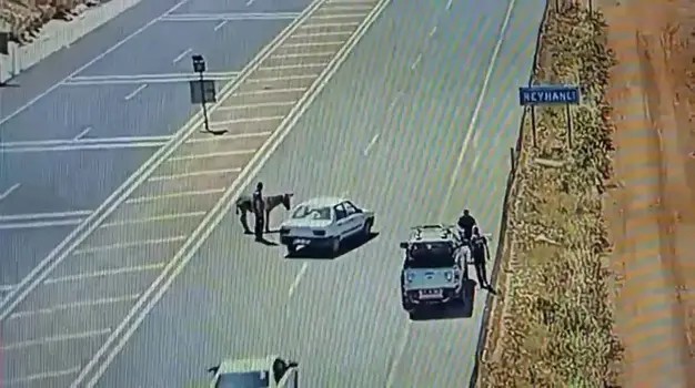 Başıboş eşek trafiği birbirine kattı