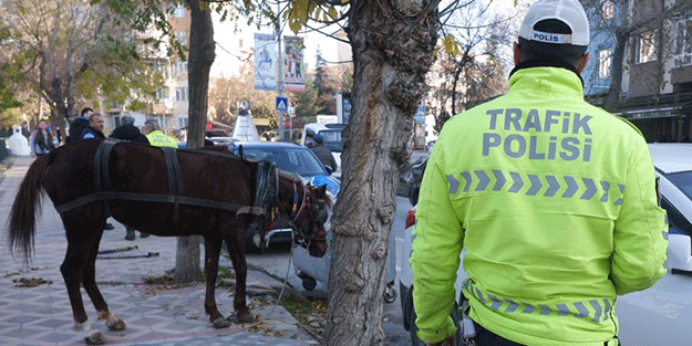 Başıboş kalan at trafiği birbirine kattı!