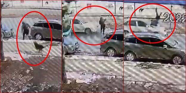 Başıboş köpeğin saldırısından kaçarken kaza geçiren 12 yaşındaki Baran ile ilgili yeni gelişme!