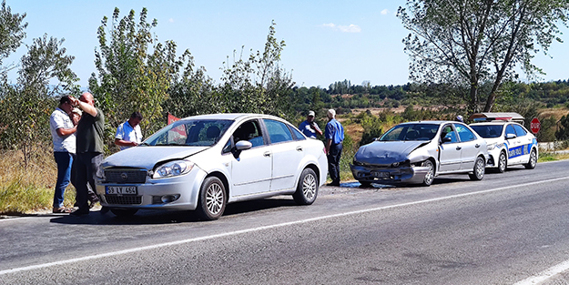Başıboş köpek kazaya neden oldu: 1 yaralı