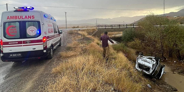 Başıboş köpek kazaya neden oldu! Araç şarampole uçtu