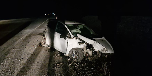 Başıboş köpek kazaya sebep oldu!