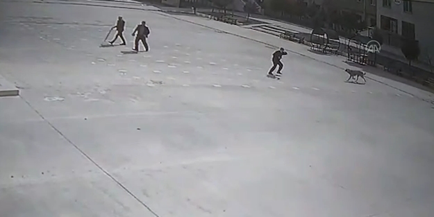 Başıboş köpek okul bahçesinde dehşet saçtı